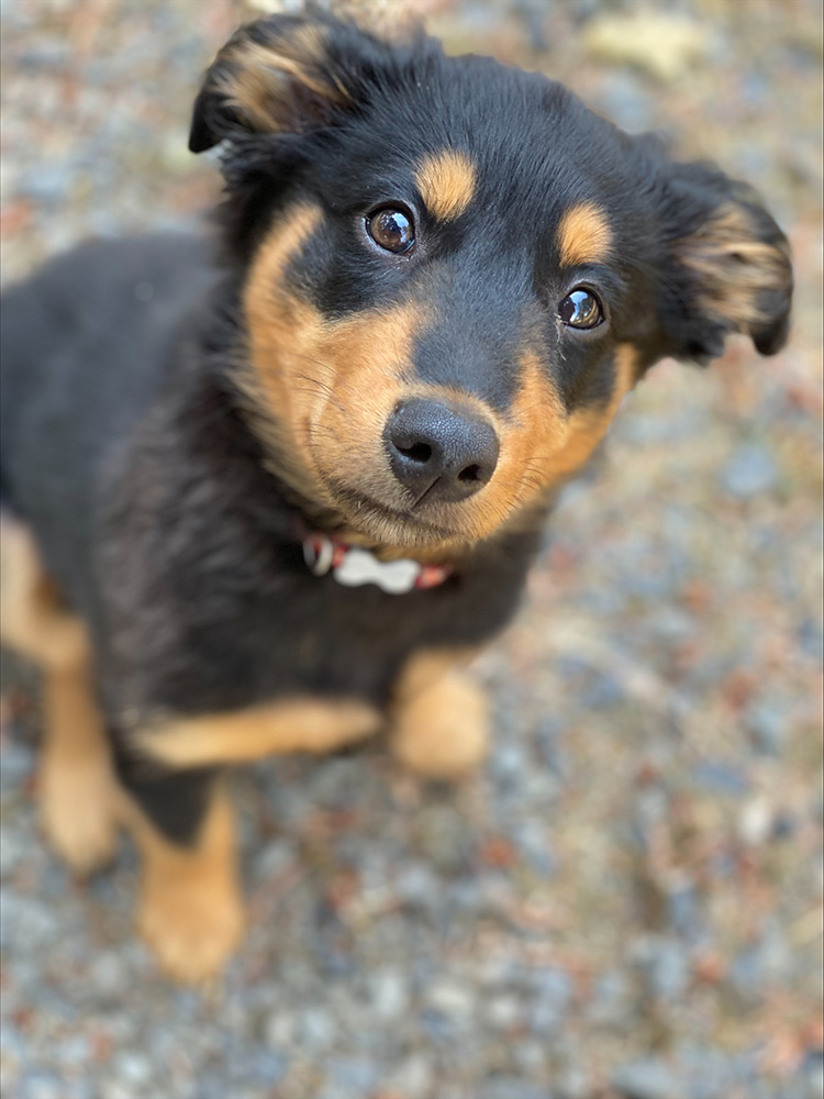 He's a Beautiful Boy
